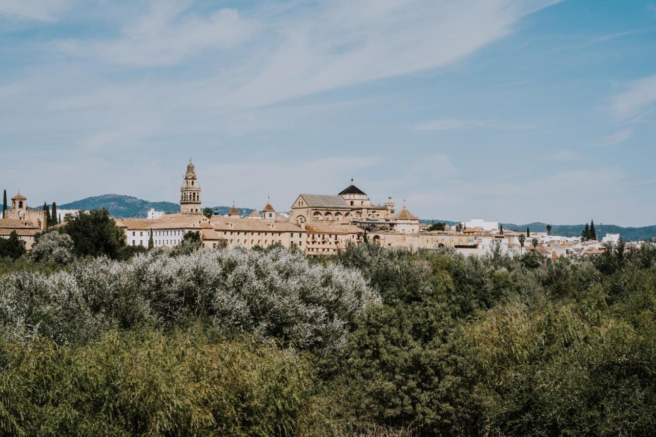 San Rafael 3 - Parking Gratuito Leilighet Córdoba Eksteriør bilde